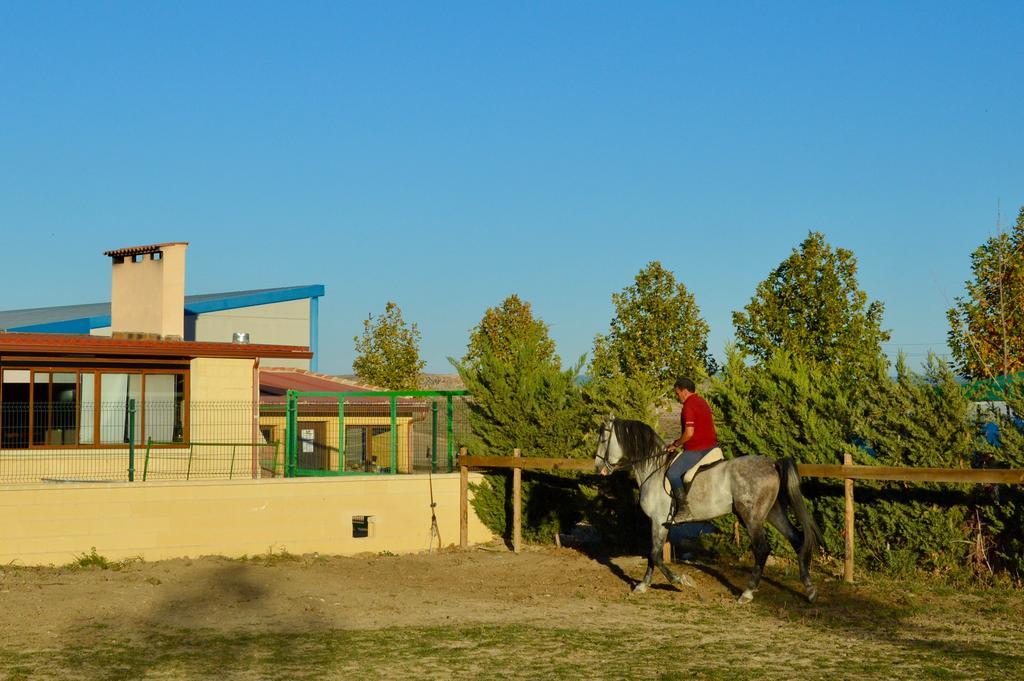 Rural Reillo Alojamientos Rurales Exteriér fotografie